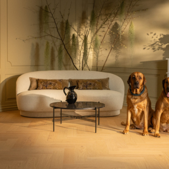 Fiskeben Eik Brisbane