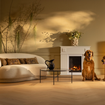 Fiskeben Eik Brisbane