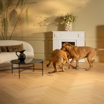 Fiskeben Eik Brisbane