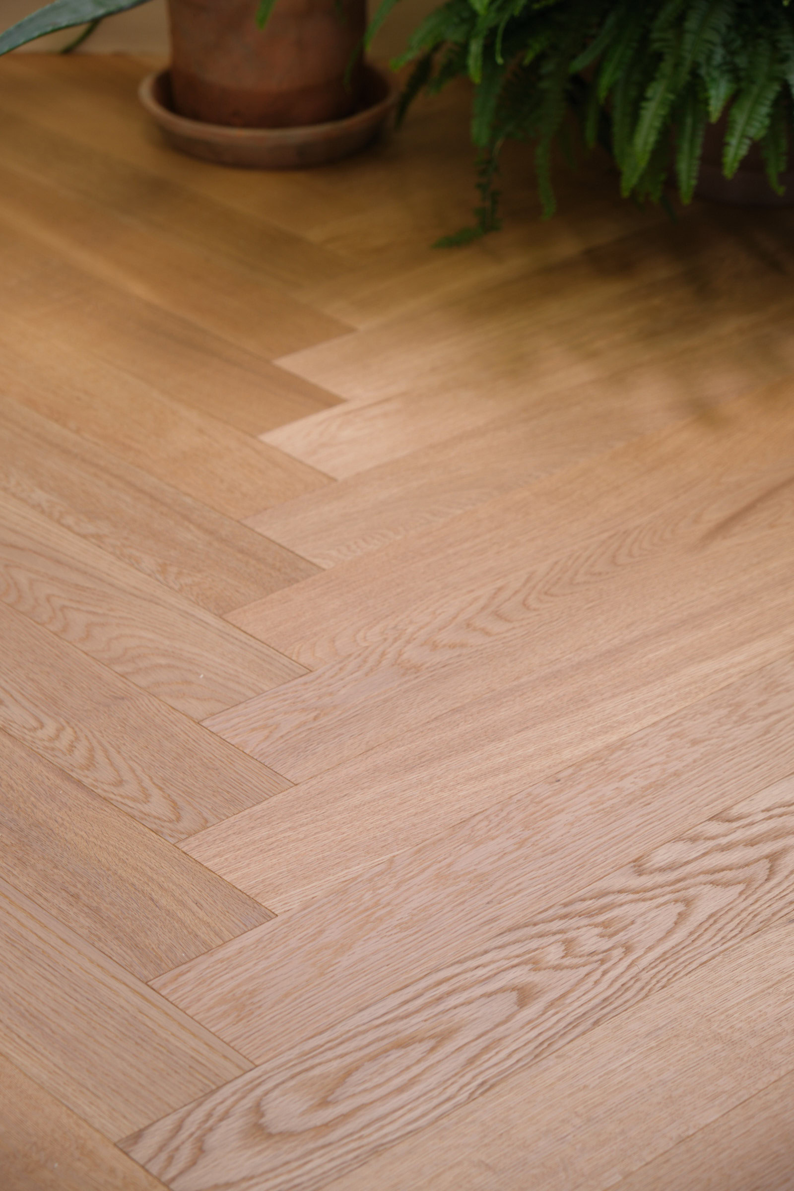 Stangholmen_Fiskebensparkett_Studio 2 Stangholmen FIskebensparkett