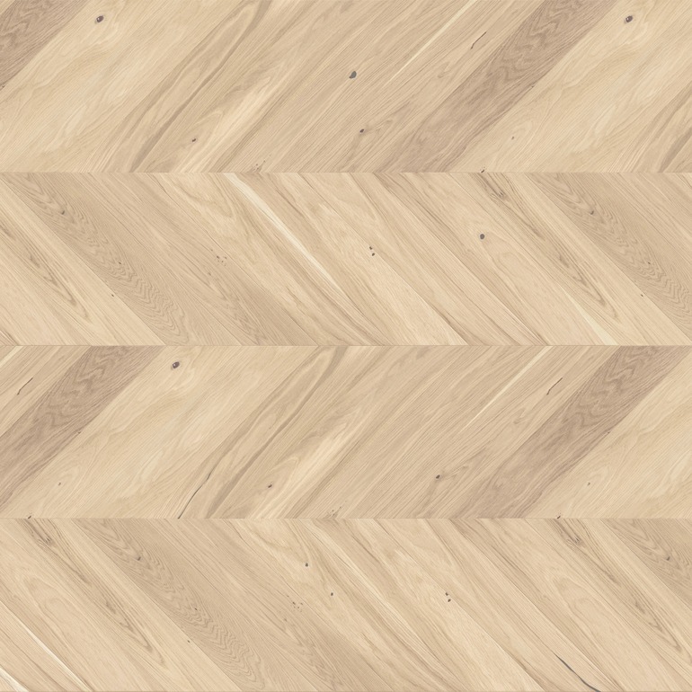 BVU-DBE1-770x770-1